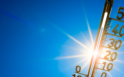 Alerte canicule, les bons gestes à adopter!