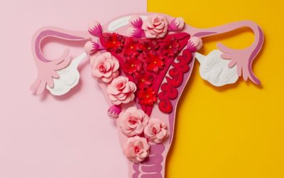 Endométriose : une soirée de formation et d&rsquo;informations